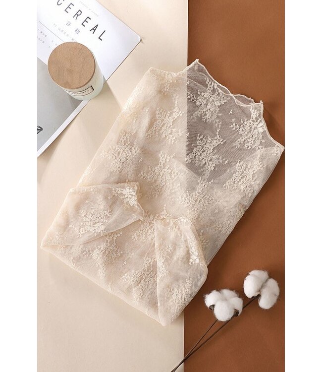 Sheer Lace Long Sleeve Top JN24P
