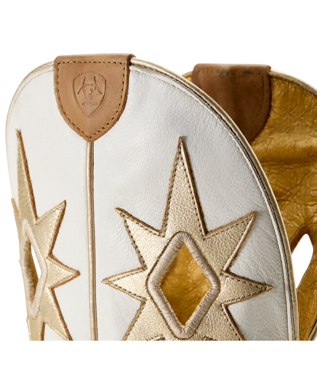 10061316 WMS Starlight