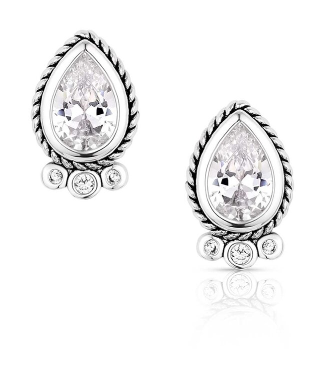Angel Joy Earring  ER6100