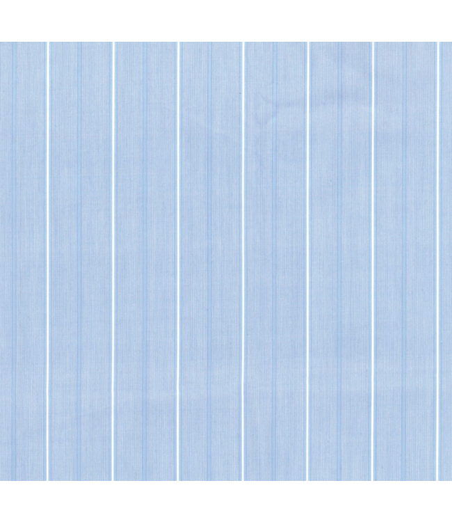 112359677 LS Cojo Blue