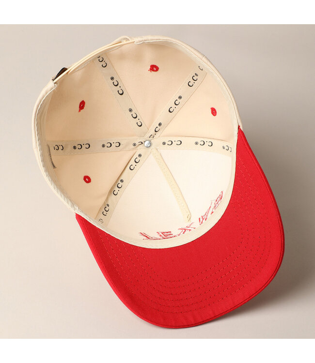 Texas- Upside Down Trucker Baseball Cap