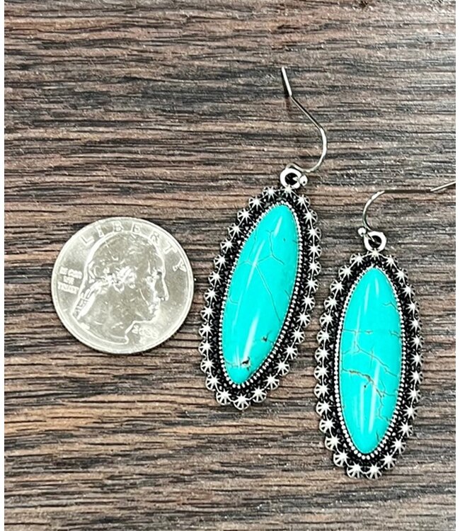 Oblong Turquoise Earrings 4089