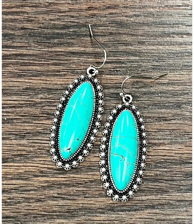 Oblong Turquoise Earrings 4089