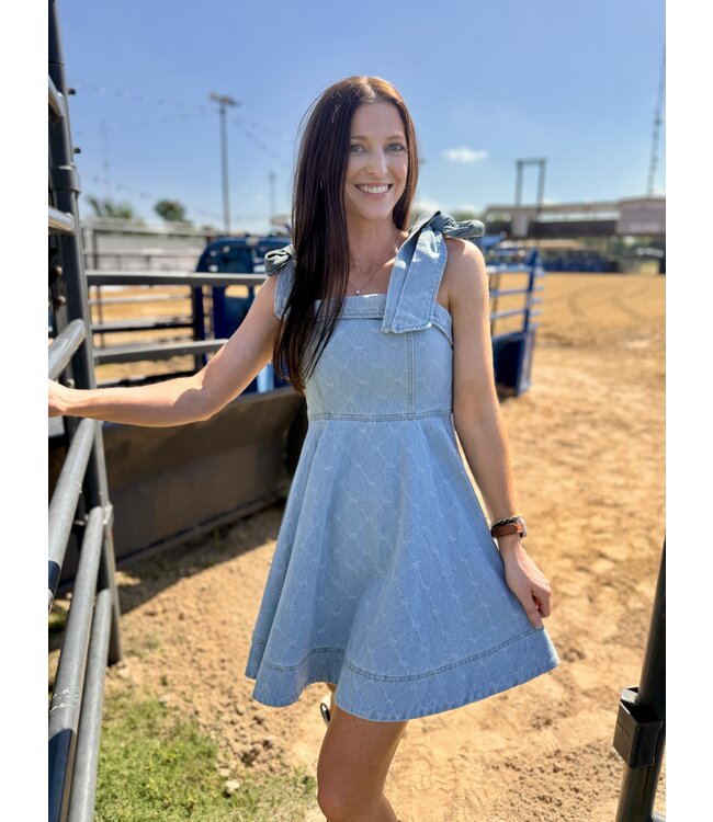 The Laramie Denim Dress JD1154