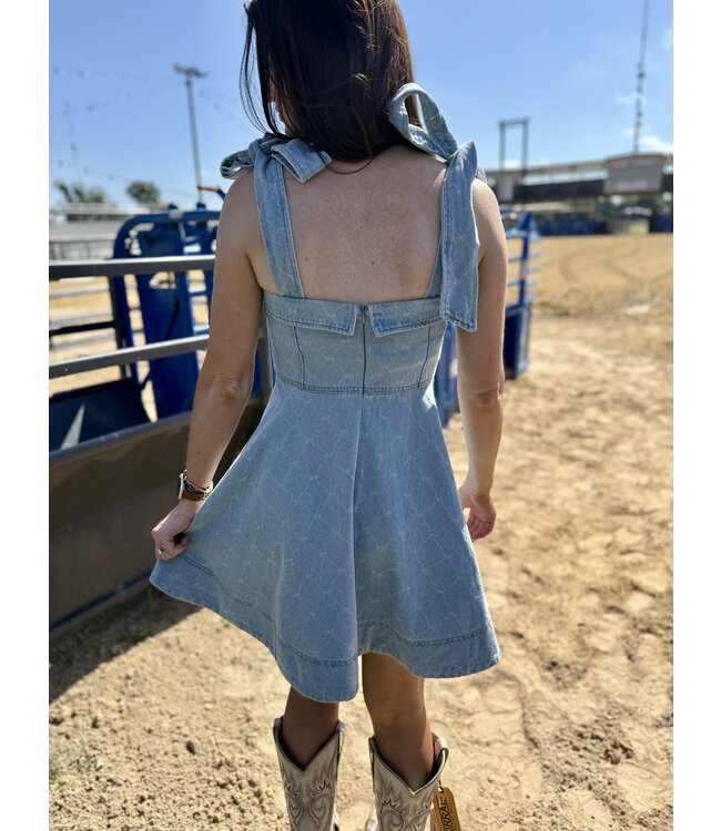 The Laramie Denim Dress JD1154