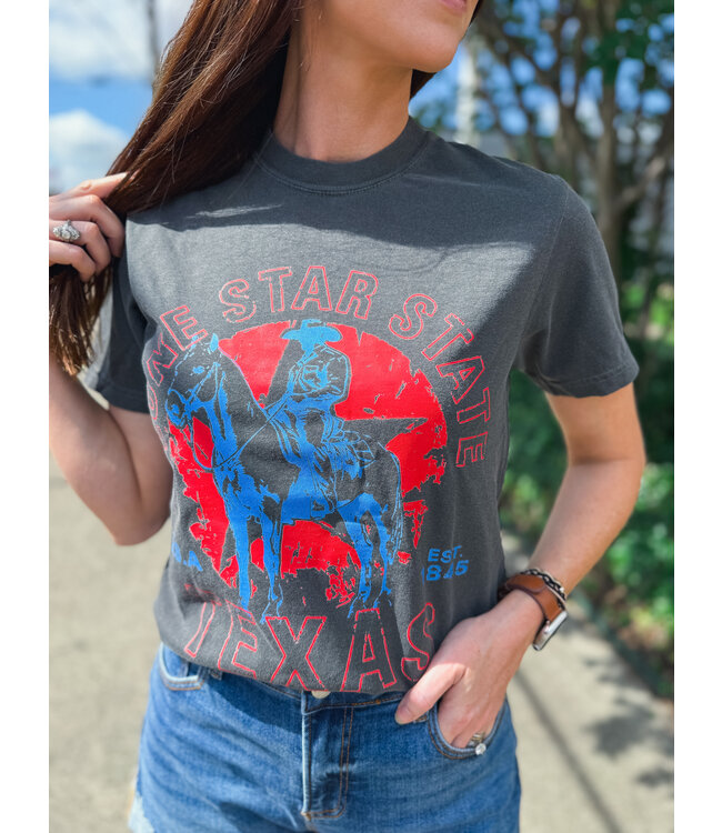 Lone Star State Texas 0410