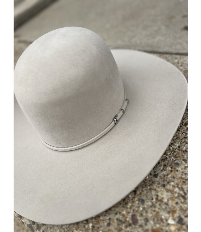 Rodeo King 7X Buckskin