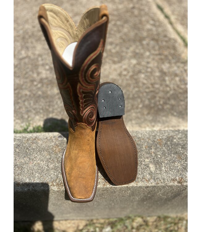 Olathe Wheatbuck Waxy Kudu