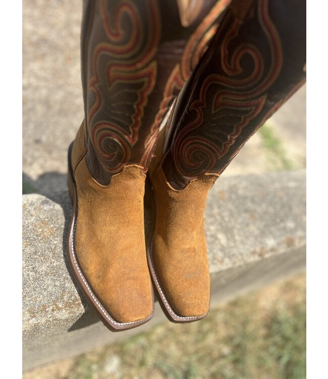 Olathe Wheatbuck Waxy Kudu