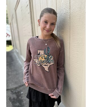 Panhandle Slim BG91T07431 Graphic Pullover Brown