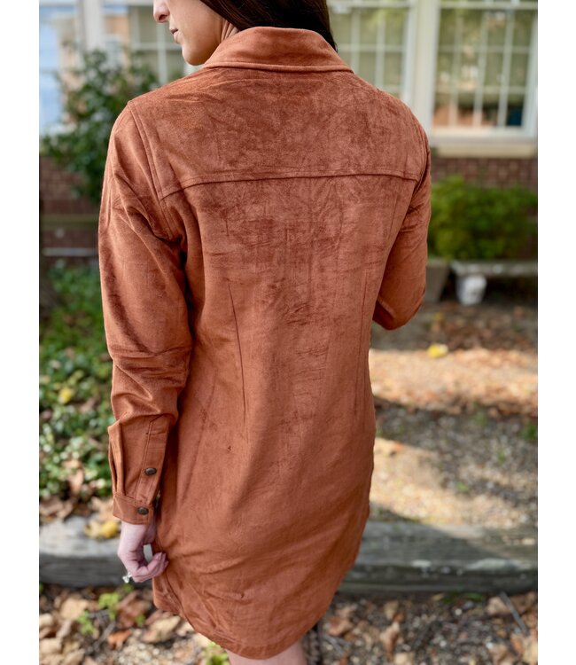 LWD2R07126 Yoked Suede Dress Camel