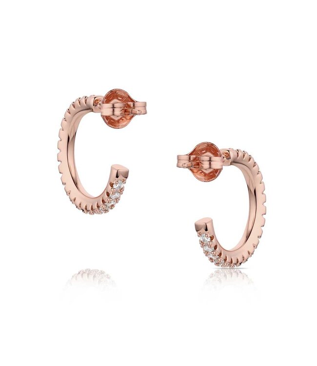 ER6212 Everything is Rosey