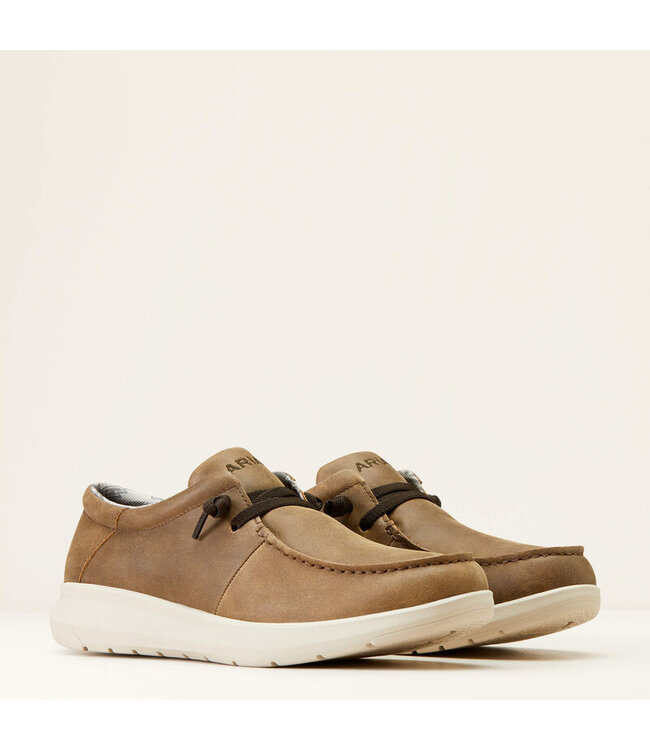 10046941 Hilo Brown Bomber R2