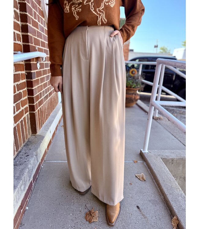 Arden Pleated Trouser ESTP1127