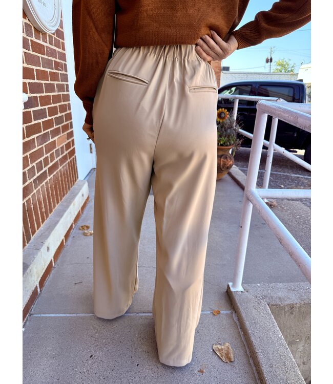 Arden Pleated Trouser ESTP1127