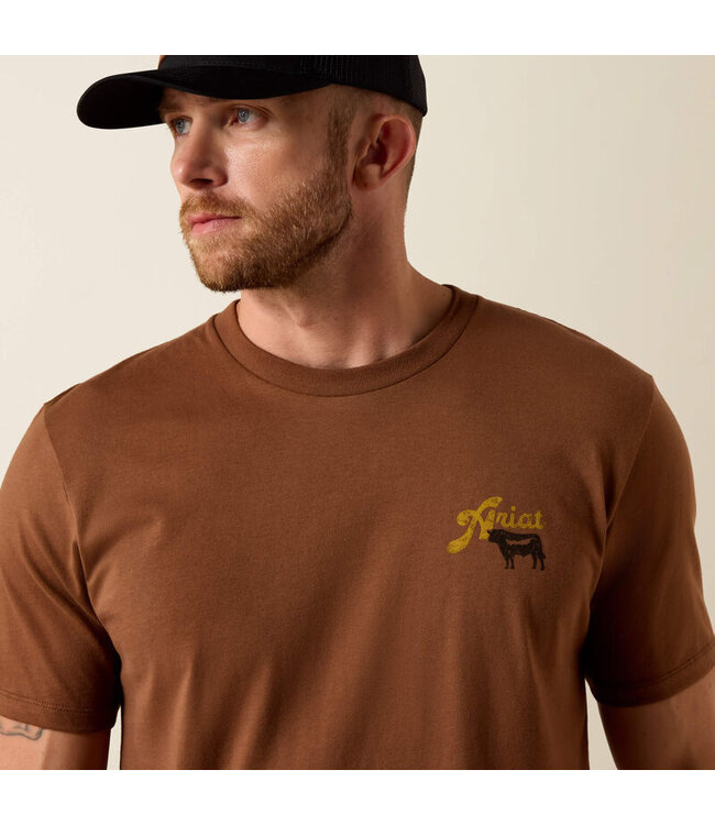 10071197 MNS ARIAT BBQ SMOKE SS TSHRT SFT SILT