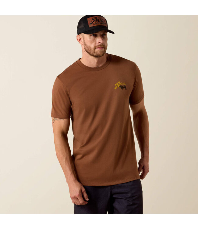 10071197 MNS ARIAT BBQ SMOKE SS TSHRT SFT SILT