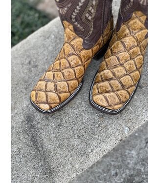 Bronco Big Bass Cigar Print 43393-61