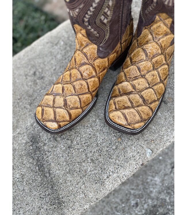 Bronco Big Bass Cigar Print 43393-61