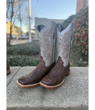 Chocolate Caiman Print 40393-23