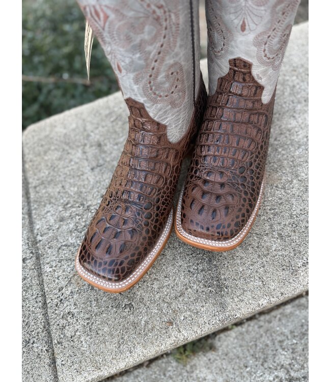 Chocolate Caiman Print 40393-23