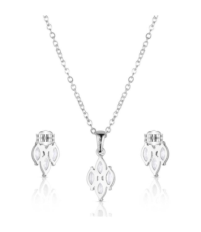 JS6458 JS-Snowdrift Cluster