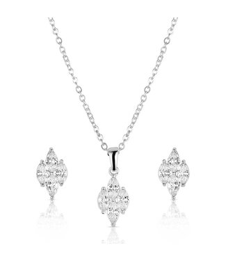 JS6458 JS-Snowdrift Cluster