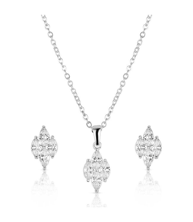 JS6458 JS-Snowdrift Cluster