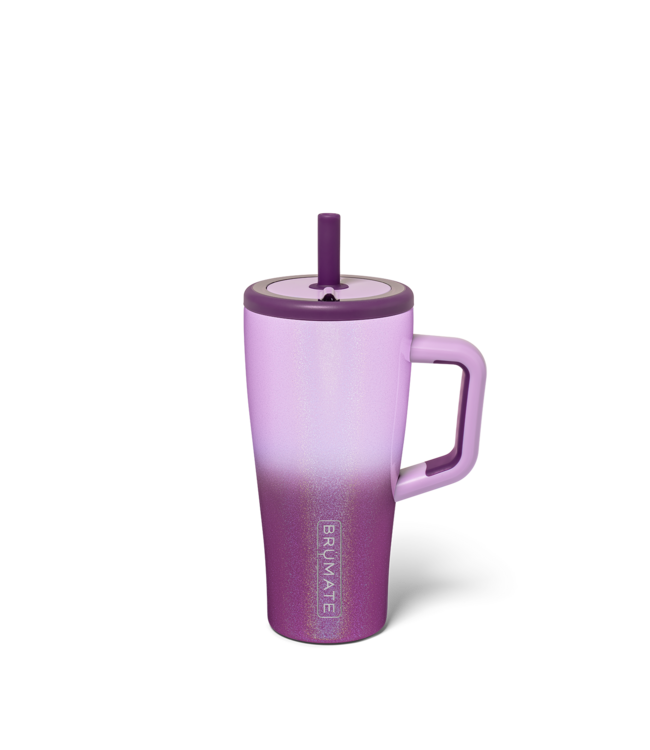 DWER20VCR Era 20oz Violet Crush