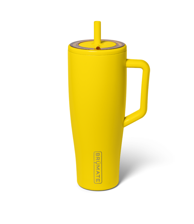 DWER40PNP Era 40oz - Pineapple