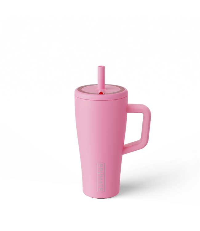 DWER20PRM Era 20oz Primrose