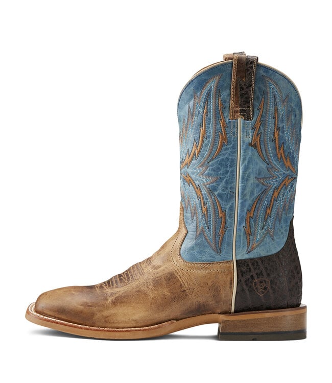 10021679 Arena Rebound R2