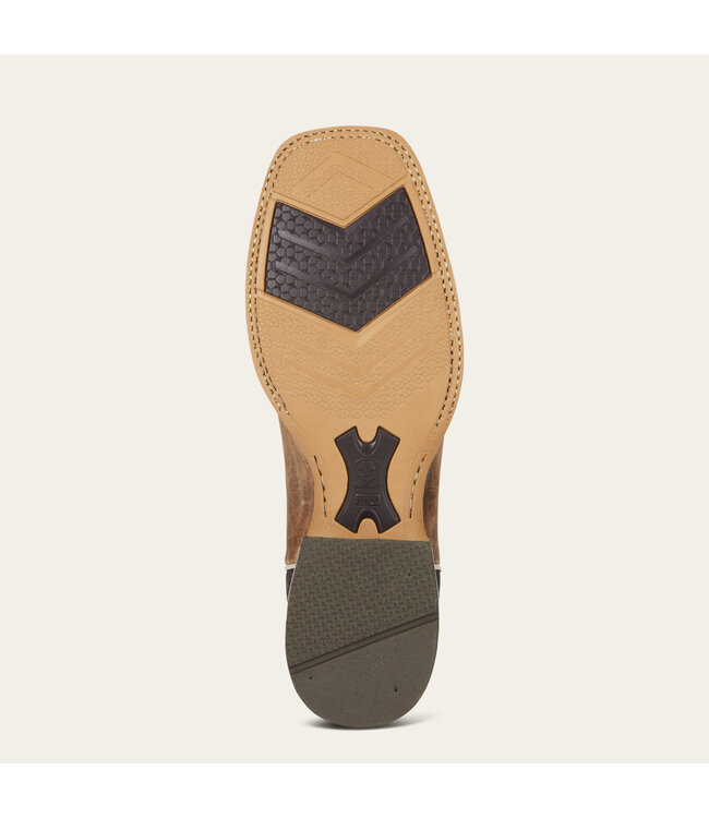 10021679 Arena Rebound R2