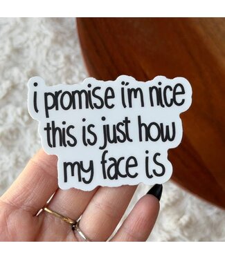 Big Moods I Promise I'm Nice This Is Just How My Face Is Text Sticker