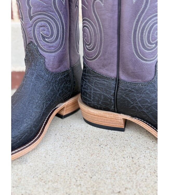 Black Hungry Elephant Purple