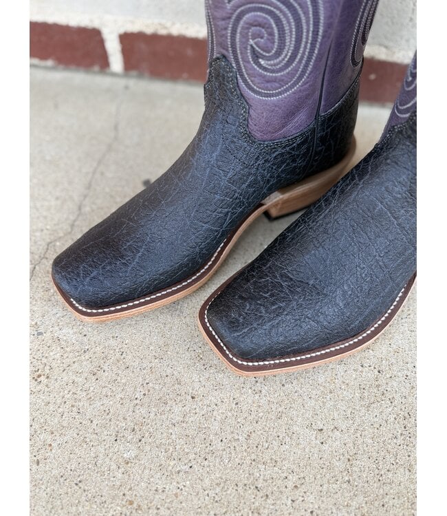 Black Hungry Elephant Purple