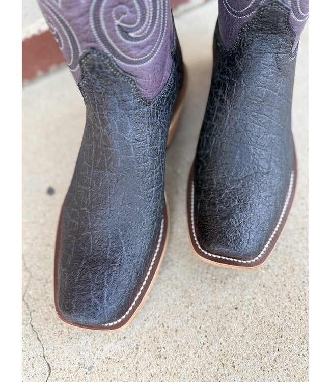 Black Hungry Elephant Purple