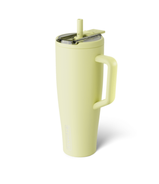 brumate DWEF40PPR Era Flip 40oz Prickly Pear
