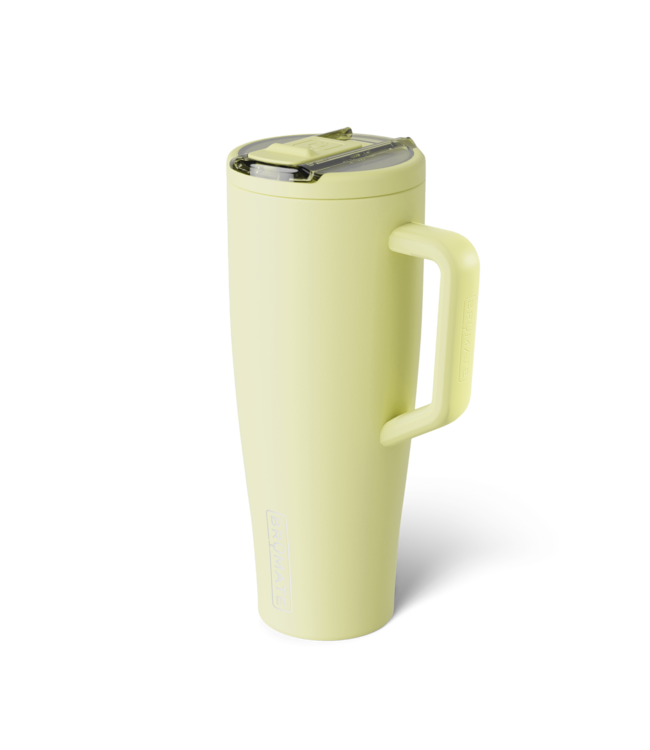 DWEF40PPR Era Flip 40oz Prickly Pear