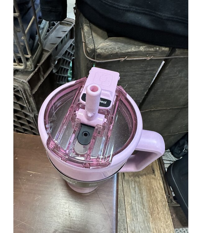 DWEF30BSH Era Flip 30oz Blush