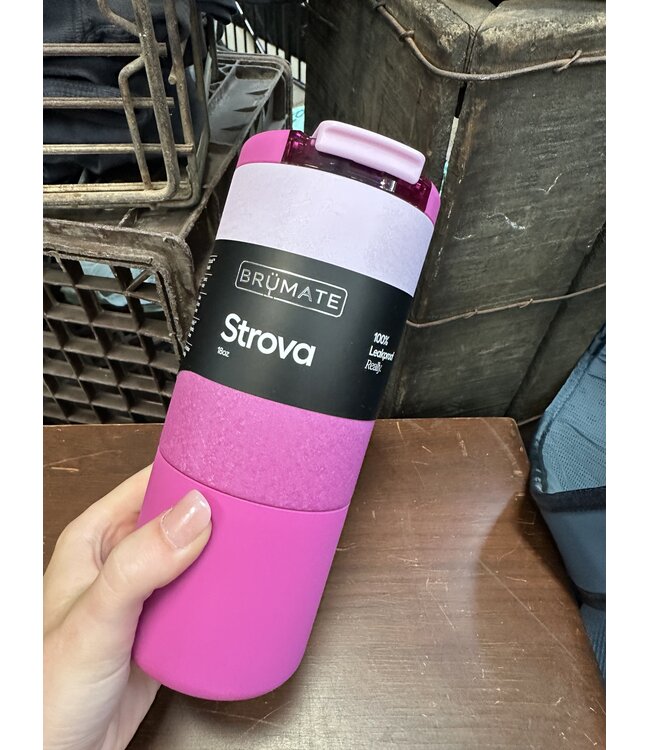DWSR18FRS Strova 18oz Frosted Rose