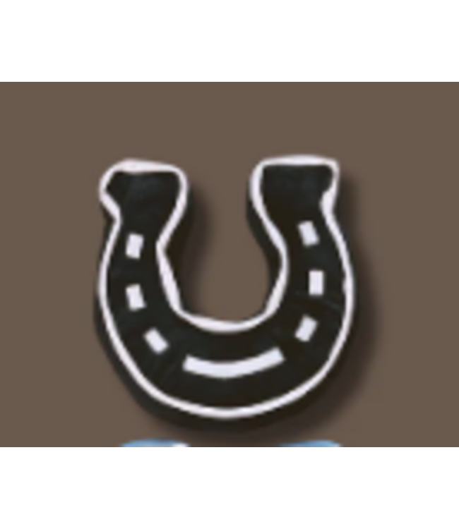 Horseshoe Pillow