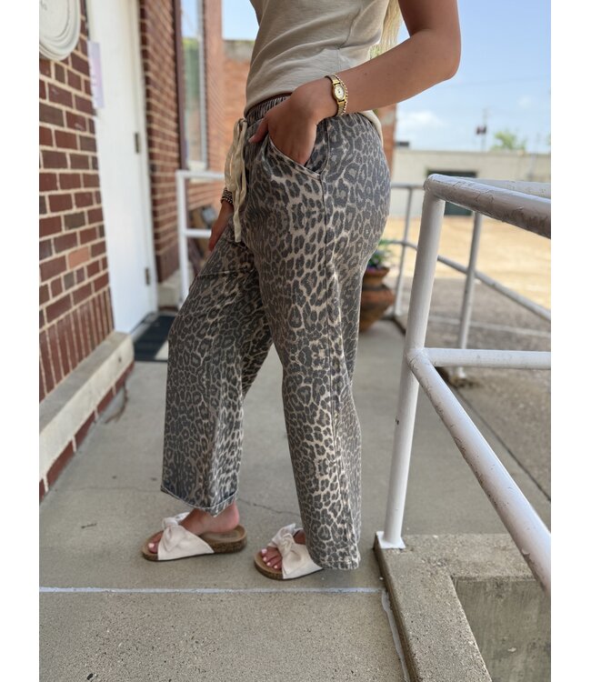 Everyday Chic Leopard Pants T0162