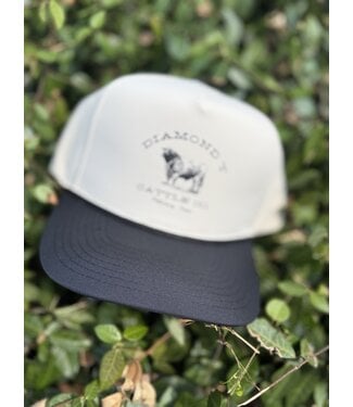 Diamond T Outfitters The Charolais Cap