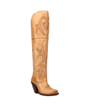 dingo DP7148 Jilted