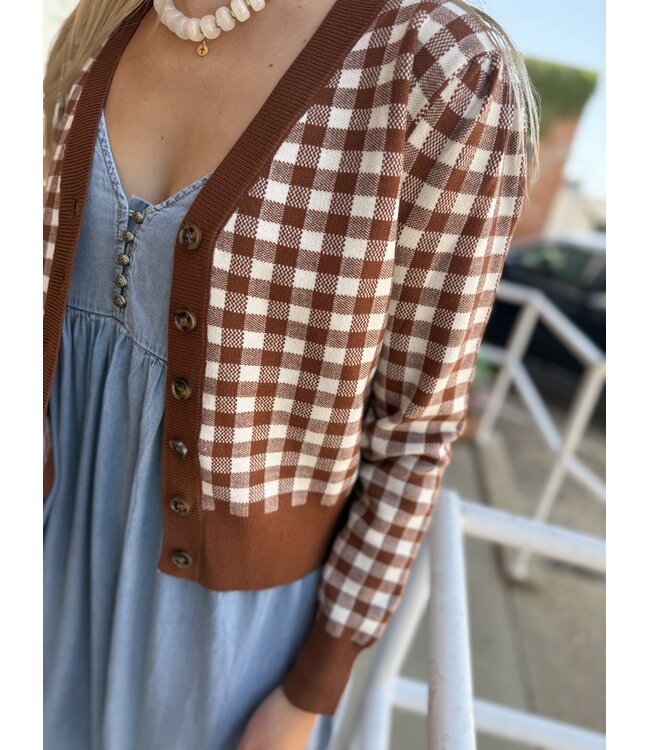Brown Sugar Cardi SJH17289