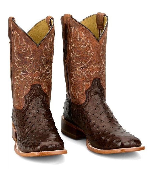 RN3572 Blaine Kango Ostrich