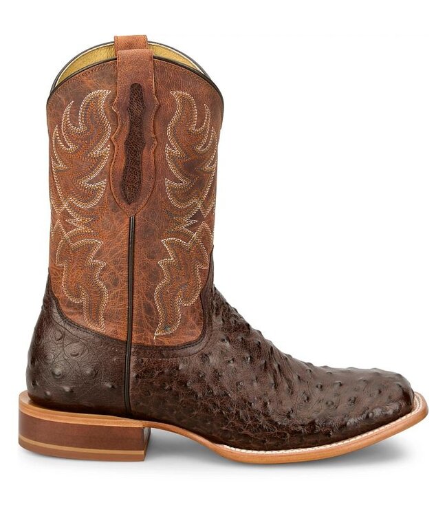 RN3572 Blaine Kango Ostrich