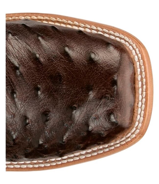 RN3572 Blaine Kango Ostrich