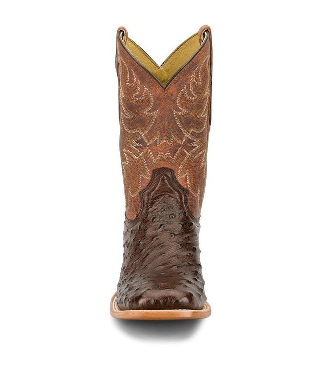 RN3572 Blaine Kango Ostrich